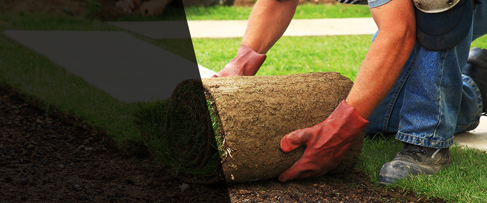 Melville Landscapers